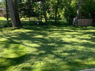 Janice C.'s Lawn Maintenance service result