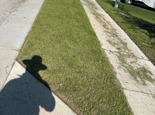 Cleanups by Patrick Stewart for Starlyn C. in Princeton, TX