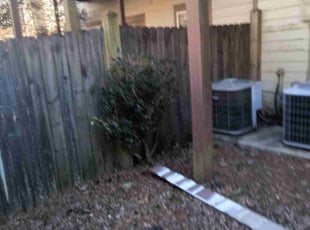 Bush Trimming by Gerald Oyerindr for Elisa G. in Decatur, GA
