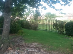 Bush Trimming by Edward Rodriguez for Kyle C. in Fort Worth, TX