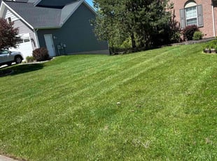 Ajaang D.'s Lawn Maintenance service result