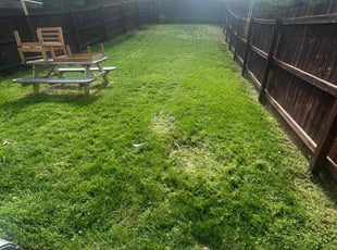 Janet P.'s Yard Cutting service result