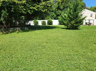 Latoya W.'s Lawn Mowing service result