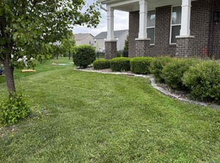 Bush Trimming by Aaron Sparks for Dhman K. in Plainfield, IN
