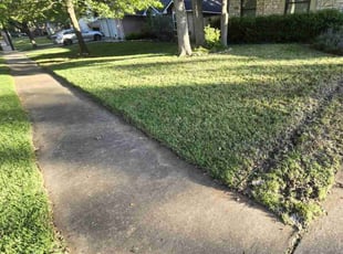 Kathy J.'s Lawn Care service result