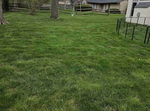 Leaf Removal by Leroy Green II for Christina G. in Columbus, OH