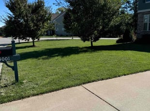 James M.'s Grass Cutting service result