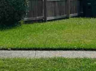 Bush Trimming by Will Rich for Juan C. in Jacksonville, FL