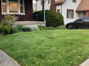 Dan P.'s Lawn Mowing service result