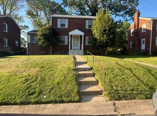JODIE M.'s Lawn Service service result