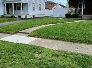 Giduk B.'s Grass Cutting service result