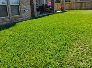 Steve B.'s Lawn Mowing Service service result