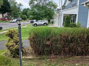 Bush Trimming by NeftalΓ Escobar for Morgan W. in Sterling, VA