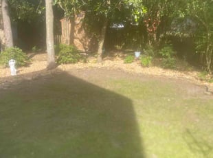 Leaf Removal by Xavier Shakir for Barbara B. in Beaufort, SC