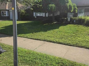 Cleanups by Harrison Thomas for Ebony W. in Euclid, OH