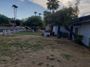 Cleanups by Aaron Flores for Kim K. in Phoenix, AZ