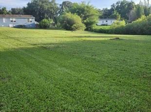 Deborah W.'s Lawn Care service result