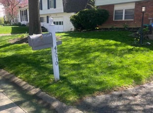 Carolina D.'s Lawn Care service result
