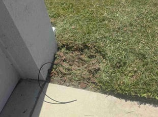 Cleanups by Robert Dixon for Anna L. in Kissimmee, FL