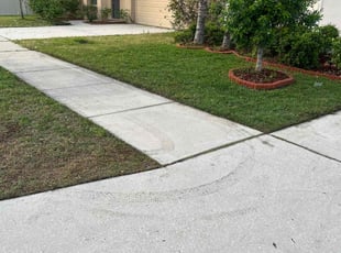 DARNELL M.'s Yard Cutting service result