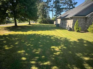 Henry K.'s Lawn Mowing Service service result