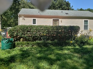 Caitlin W.'s Bush Trimming service result