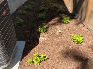 Cleanups by Brandy P for Pranjal T. in Lake Stevens, WA