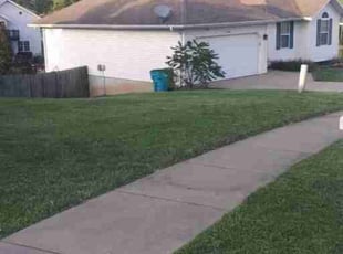 Chelsea R.'s Grass Cutting service result