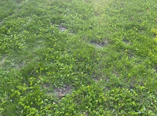 Cleanups by Adam Schroeder for Laura A. in Waukesha, WI