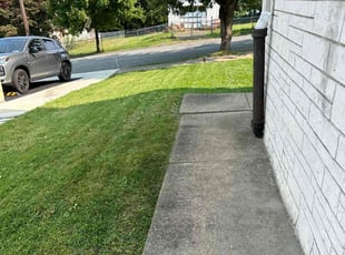 Anthony B.'s Lawn Maintenance service result