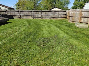 Alicia W.'s Yard Cutting service result