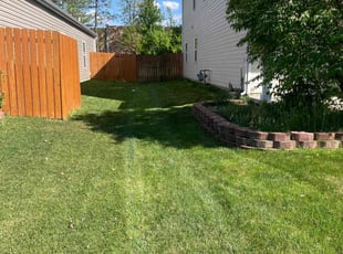 Rachel T.'s Lawn Mowing service result