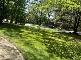 Aquantia R.'s Lawn Maintenance service result