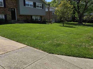 Jim_Carla A.'s Lawn Service service result