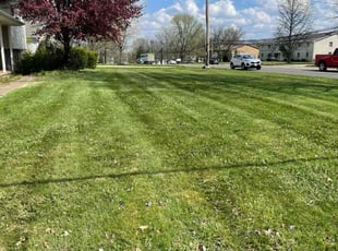 Seth D.'s Lawn Mowing Service service result