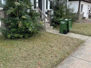 Janet I.'s Lawn Care service result