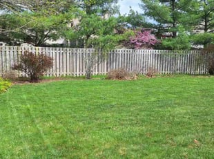 Sophia M.'s Yard Cutting service result