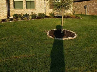 Jackie A.'s Yard Cutting service result