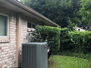 Bush Trimming by Dulce Aguirre for Nancy t. in Houston, TX