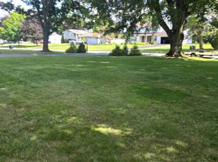 Steve C.'s Lawn Care service result