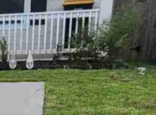 Weeding by Linda Sampson for Imani S. in Conroe, TX
