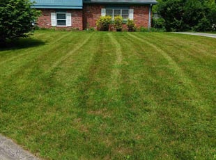 Alaa A.'s Lawn Service service result