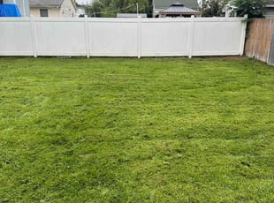 Dominique A.'s Yard Cutting service result