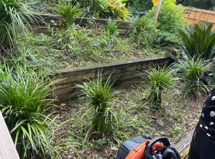 Weeding by Ernso Sincere for Randi S. in Tallahassee, FL