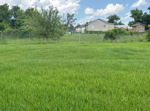 Maria M.'s Lawn Mowing service result
