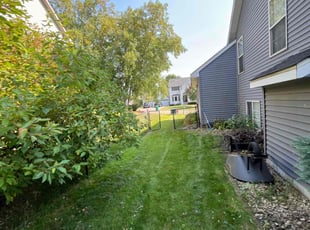 Ganashyam D.'s Lawn Care service result