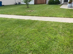 Barbara S.'s Lawn Service service result