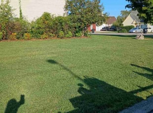 Beryl M.'s Lawn Mowing service result