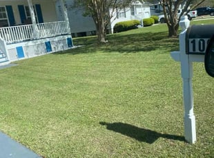 Jean H.'s Lawn Mowing Service service result