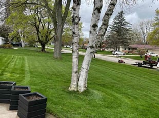 James M.'s Grass Cutting service result